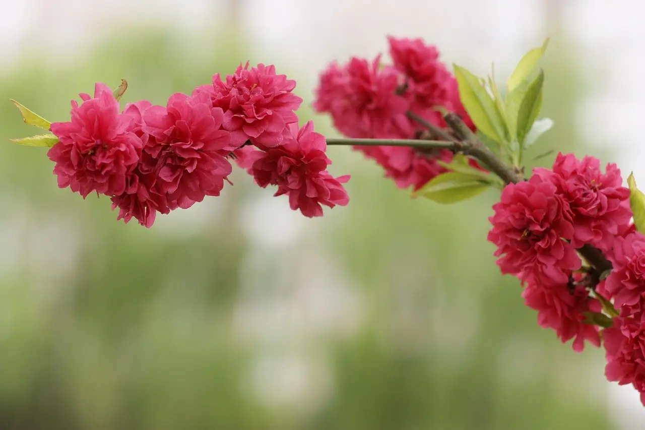 Er 73 70 86 91 svindel?