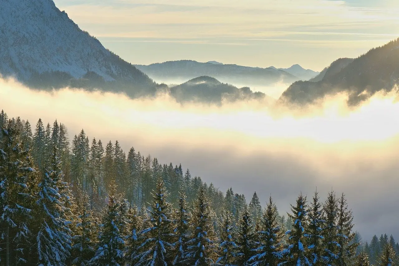 Hvordan er vejret i Edinburgh i januar?