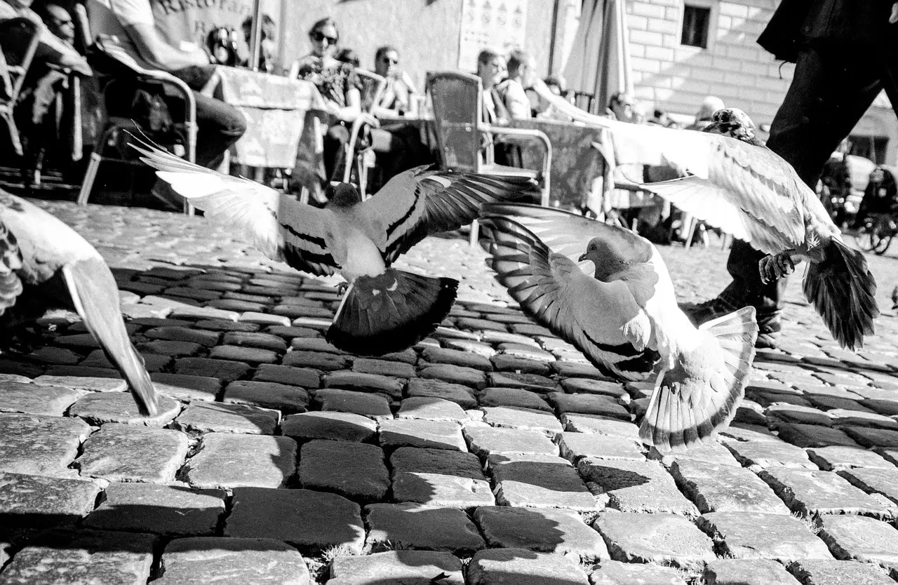 Hvordan er vejret i Edinburgh i juli?